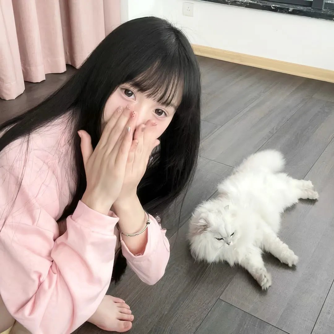猩空漫游